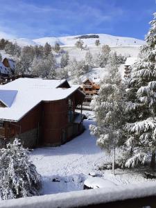 韋諾斯克的住宿－Résidence Sappey - Studio pour 4 Personnes 294，树旁的小屋,地面上有雪