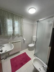 a bathroom with a sink and a toilet and a shower at Spacious apartment with terrace - Beahost Rentals in Rosolina Mare
