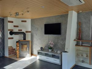 a living room with a fireplace and a flat screen tv at Ferienwohnung Haus Peterstal in Trulben