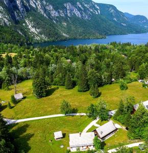 uma vista aérea de uma casa num campo com um lago em Apartmaji Zupanc Ivanka em Bohinj