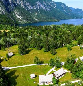 an aerial view of a house in a field with a lake at Apartmaji Zupanc Ivanka in Bohinj