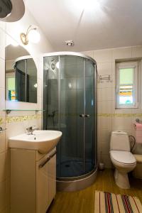 un bagno con doccia, lavandino e WC di Leśny Zakątek a Łaźnie