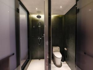 a bathroom with a toilet and a shower at Thank Inn Chain Hotel Loudi City Government Hotel in Loudi