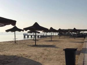 eine Gruppe von Sonnenschirmen am Strand mit einem Pier in der Unterkunft قرية النورس مكتب السعد in Ismailia