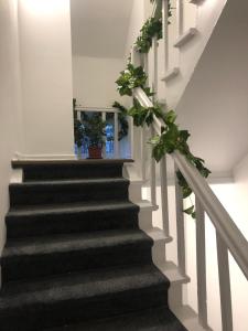 a stairway with two potted plants at Stay Adventure Mrzeżyno in Mrzeżyno
