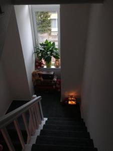 a stairway with a potted plant and a window at Stay Adventure Mrzeżyno in Mrzeżyno