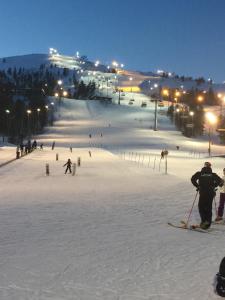 grupa osób jeżdżących na nartach w nocy po stoku narciarskim w obiekcie Ankkalinna w mieście Pyhätunturi