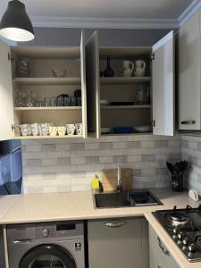 een keuken met een wastafel en een wasmachine bij Nikolas Home in Borjomi