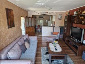 a living room with a couch and a tv at Lakeside oasis home Karuc in Karuč