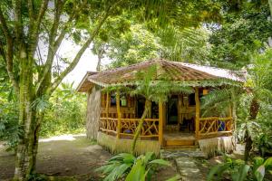 una casa de bambú en medio de un bosque en Hotel La Costa de Papito, en Puerto Viejo