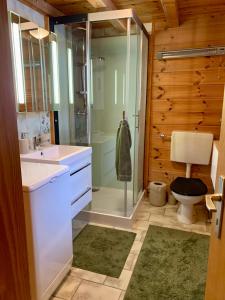 uma casa de banho com uma cabina de duche em vidro e um WC. em Chalet typique tout confort avec studio en dessous em Hérémence