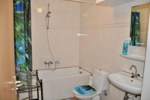a bathroom with a toilet and a sink and a shower at Appartement Badhotel 301 in Callantsoog