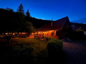 een hut verlicht in de nacht met verlichting bij Elixír Guest House in Izvoare