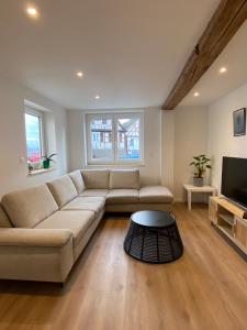 a living room with a couch and a tv at Appartement confortable in Soufflenheim