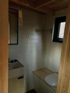 a small bathroom with a toilet and a sink at POP Tiny House Mátra in Mátraszentimre