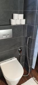 a bathroom with a toilet and a shelf with toiletries at Domek ASPEN in Wetlina