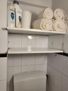a bathroom with a shelf with toilet paper and towels at Independent and newly built apartment in Kallithea, next to Tavros train station, in a nice neighborhood in Athens