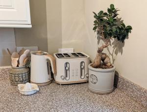 a kitchen counter with a toaster and a potted plant at Lindisfarne Cottage in Beadnell