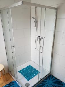 a shower with a glass door in a bathroom at Ferienwohnung Füssel NICHT FÜR MONTEURE in Bad Staffelstein