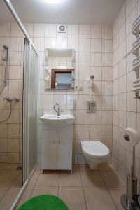 y baño con lavabo, aseo y ducha. en Willa Puchatek, en Szklarska Poręba