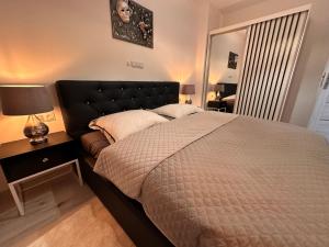 ein Schlafzimmer mit einem Bett, einer Lampe und einem Spiegel in der Unterkunft Aparthotel Zabrze, Apartament Agnieszka in Zabrze