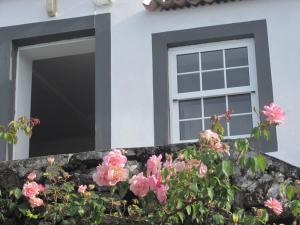 Ảnh trong thư viện ảnh của Casa do Poente - o céu é o limite ở Santana