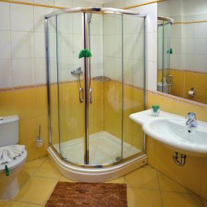 a bathroom with a shower and a sink at Penzion Hacienda Ranchero in Pardubice