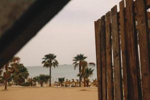 ein Holzzaun an einem Strand mit Palmen in der Unterkunft Apartamentos Bora Bora - Adults Only in Playa d'en Bossa