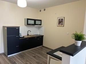 Kuchyňa alebo kuchynka v ubytovaní H-T-L Apartamenty Junior