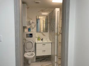 Koupelna v ubytování apartmantt + 2 fotografie