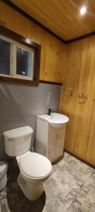 a bathroom with a white toilet and a sink at Hospedaje Cabaña y Restaurante Don Niba in Villa Cerro Castillo