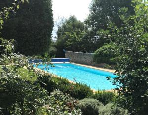 a blue swimming pool in a garden with trees at La Mauvernière, 2 gîtes indépendants, 1 grande piscine extérieure, jardin arboré in Descartes