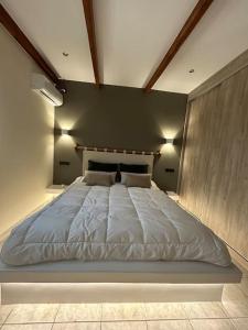 1 dormitorio con 1 cama grande en una habitación en Anesis Comfort Nature Living, 