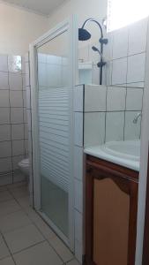 ein Bad mit einer Dusche, einem Waschbecken und einem WC in der Unterkunft Studio La villa du manguier in Le Vauclin