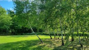 ベトリナにあるLeśniczówka Kalinaの緑草畑の木々