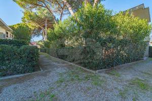 A garden outside Il Gabbiano Nuovo a Marina di Campo - Goelba