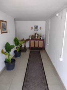 a hallway with potted plants and a table at Acke Kum 3 in Žitorađa