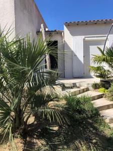 a palm tree in front of a building with stairs at ღ L'Escale bleu • Villa avec Jacuzzi et Baby-foot in Aytré