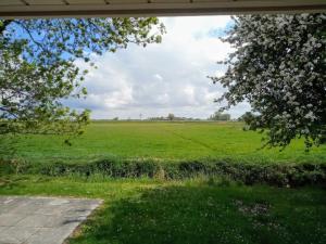 a view of a field from the porch of a house at Fischerhaus am Deich 45233 in Jemgum
