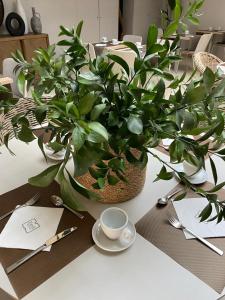 a table with a potted plant and a cup of coffee at Zenit Valencia in Valencia