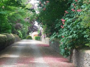 a road with flowers and a stone wall at Bellfry at Old Boley in Wexford