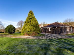 a large pine tree next to a house at Pass the Keys Tranquil Hideaway in Wells, Somerset - One Bedroom Cottage in Wells