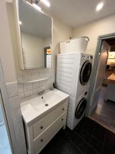 een badkamer met een wastafel en een wasmachine bij Vakantiechalet voor 4 plus 2 met sauna in Lanaken