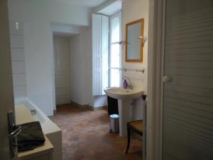 a bathroom with a sink and a bath tub at Château de Seurre No Boring People in Seurre
