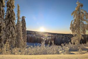un campo cubierto de nieve con árboles y el sol en el fondo en Arctic Nest en Kotila