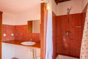 een badkamer met een wastafel en een douche bij L'Oubradou Mas de charme shared pool in Provence nature and calm in Flayosc