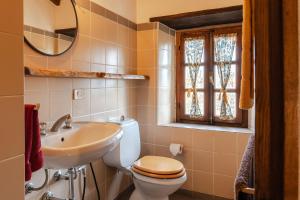 y baño con aseo, lavabo y espejo. en Reggioli- Appartamento Erborista, en Gaiole in Chianti