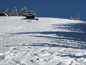 Almchalet Zillertal v zimě