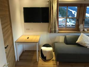 TV a/nebo společenská místnost v ubytování Almchalet Zillertal