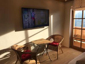 TV a/nebo společenská místnost v ubytování Almchalet Zillertal